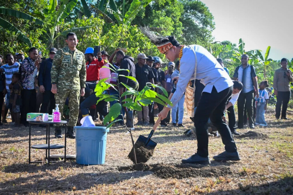 Perkuat Potensi Perkebunan Papua Barat, Wapres Tanam Bibit Kakao di Manokwari Selatan